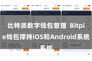 比特派数字钱包管理 Bitpie钱包撑持iOS和Android系统