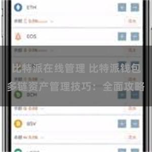 比特派在线管理 比特派钱包多链资产管理技巧：全面攻略