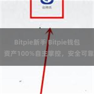 Bitpie新手 Bitpie钱包：资产100%自主掌控，安全可靠。