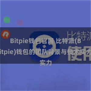 Bitpie钱包官网 比特派(Bitpie)钱包的团队背景与技术实力