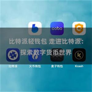 比特派轻钱包 走进比特派：探索数字货币世界