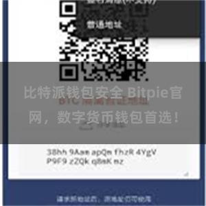比特派钱包安全 Bitpie官网，数字货币钱包首选！
