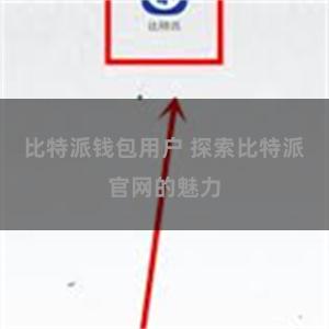 比特派钱包用户 探索比特派官网的魅力